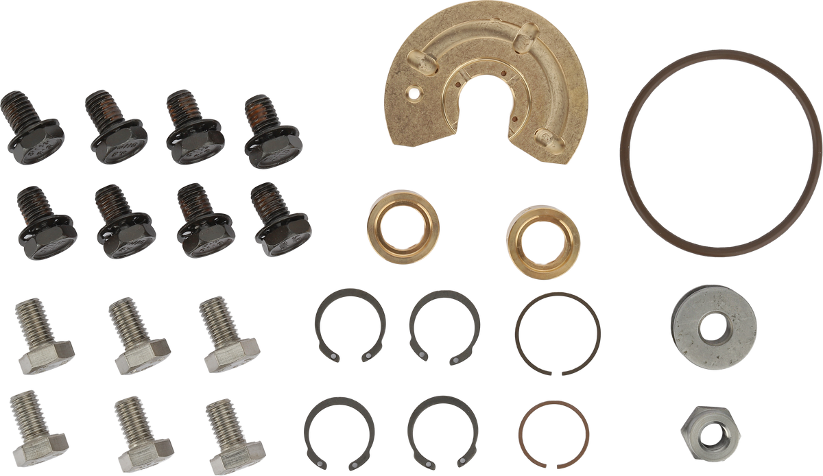 BorgWarner Repair Kit, S300
