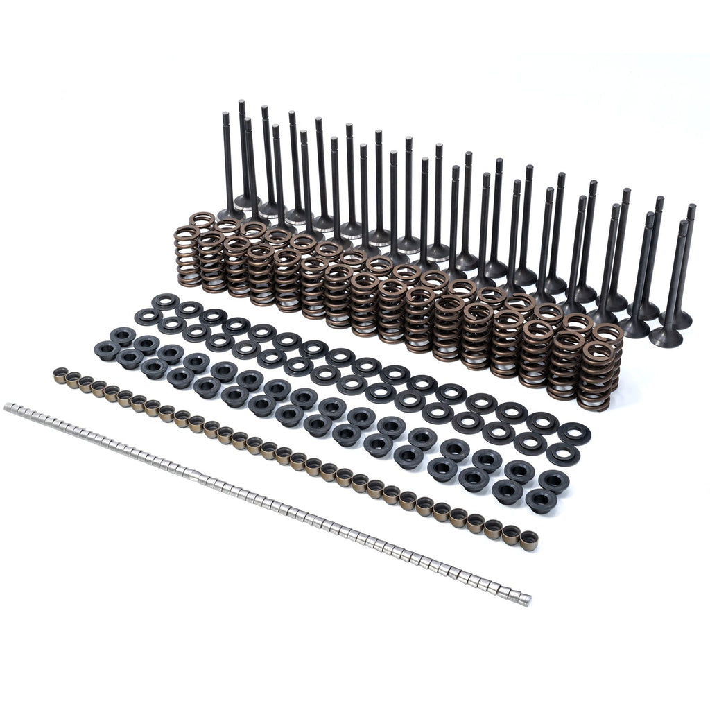 Intake & Exhaust Valves and Conical Valve Springs (Beehive) Kit Complete - GM 6.6L Duramax 2001-2016