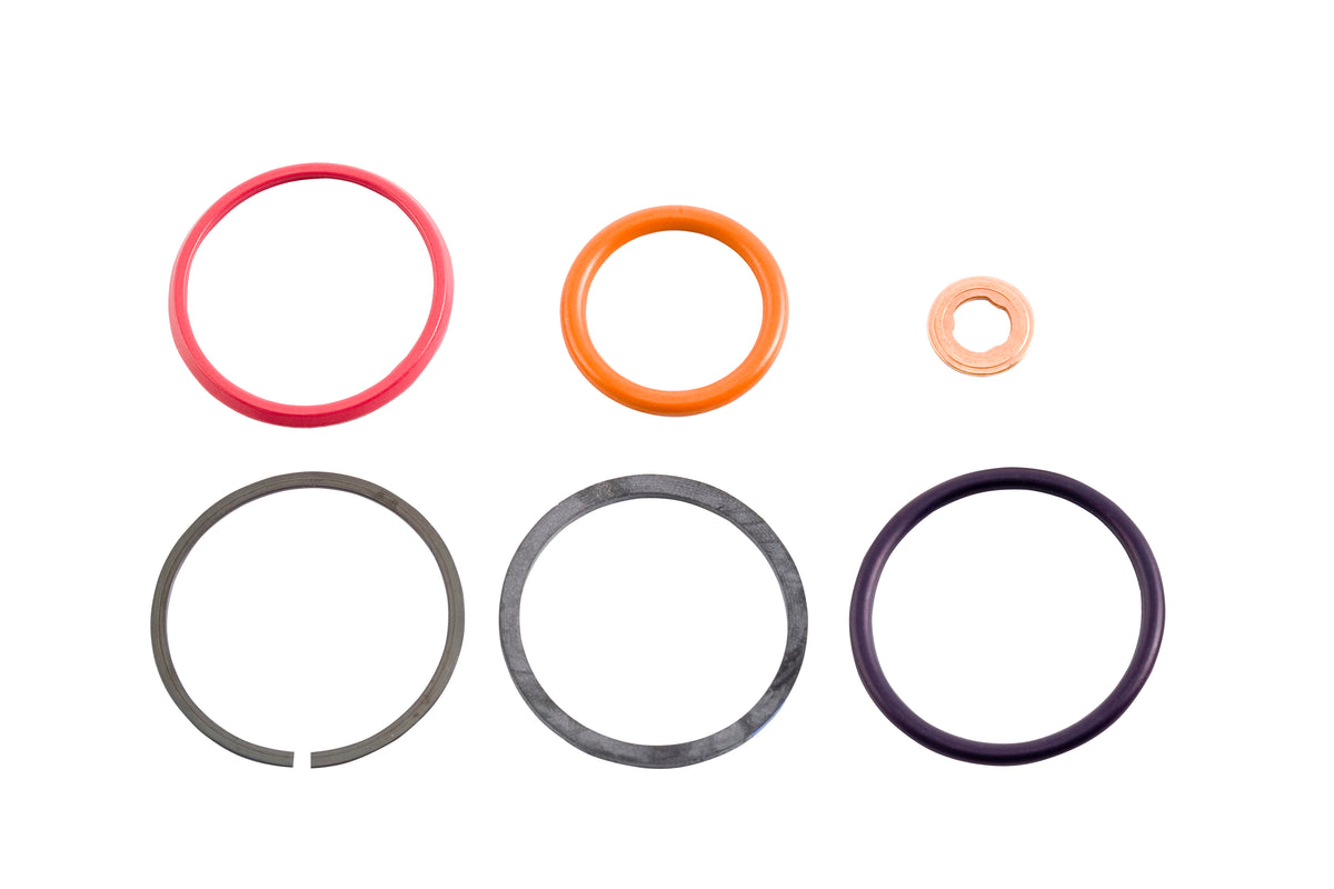 Injector Seal Kit, Heui