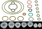 Diesel Fuel Pump Seal Kit, Bosch CP3