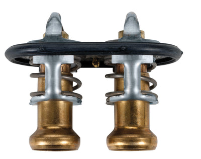 Dual Thermostat Assy, Ford 6.7L & 5.2L