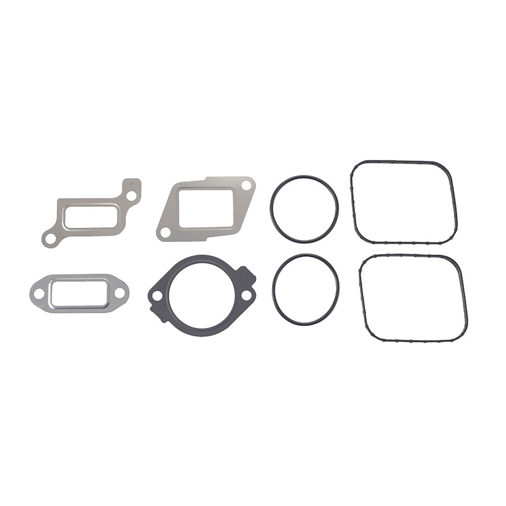 High-Pressure Fuel Pump/Egr Valve Installation Kit