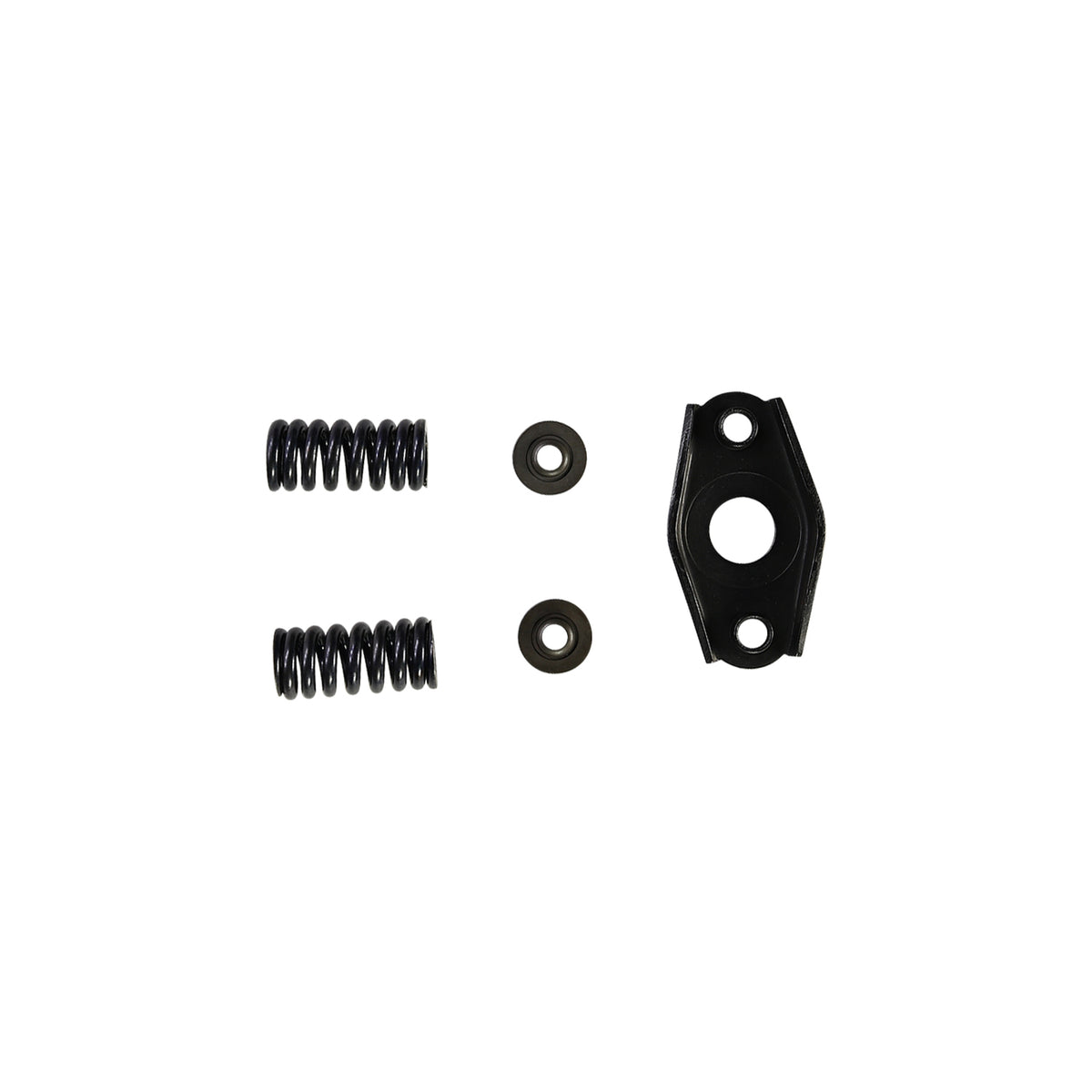 Fuel Pump Distributor Head Spring Kit, Bosch VE