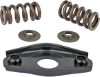 Fuel Pump Distributor Head Spring Kit, Bosch VE